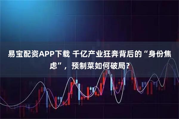 易宝配资APP下载 千亿产业狂奔背后的“身份焦虑”，预制菜如何破局？