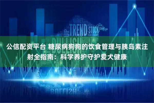 公信配资平台 糖尿病狗狗的饮食管理与胰岛素注射全指南:科学养护守护爱犬健康